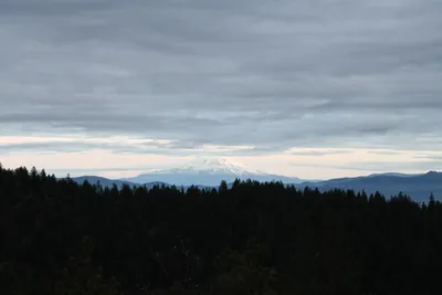 DSC_0142 (Large).JPG